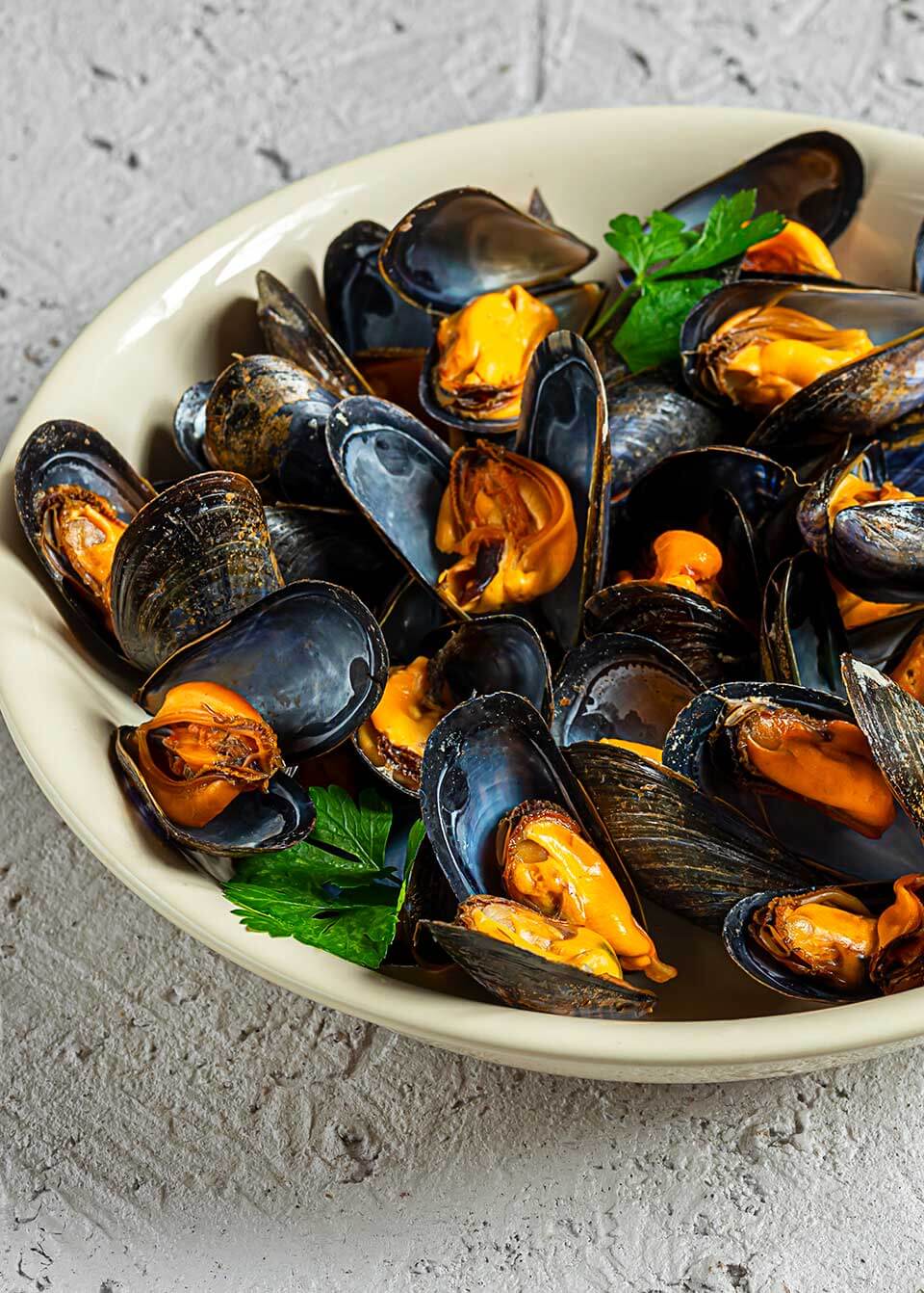 molluscs